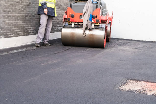 Best Driveway Crack Filling  in Franklin Park, IL